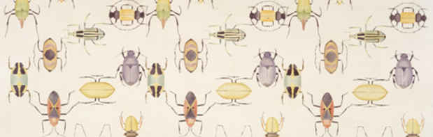poster for “Notched Bodies: Insects in Contemporary Art” Exhibition