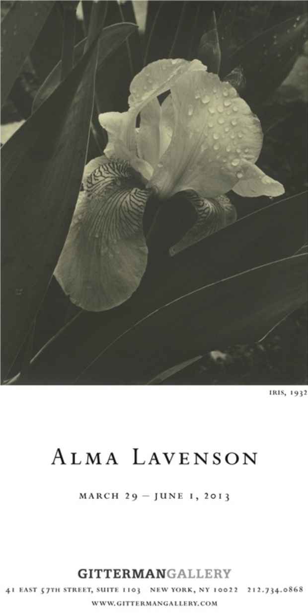 poster for Alma Lavenson Exhibition