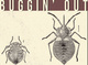poster for “Buggin’ Out” Exhibition