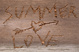 poster for “Summer Love” Exhibition