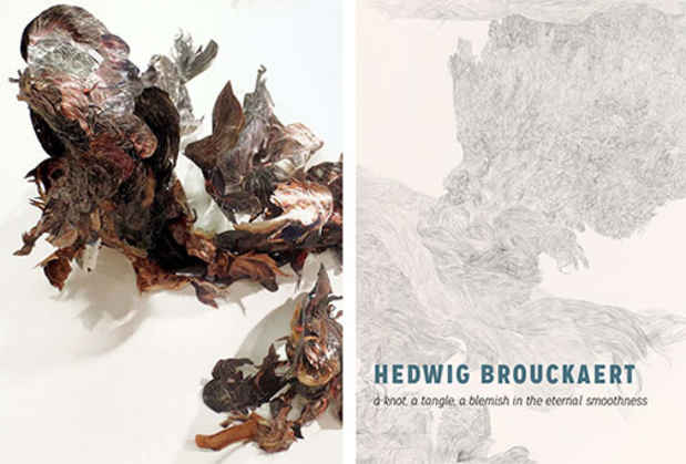 poster for Hedwig Brouckaert “A Knot, A Tangle, A Blemish in the Eternal Smoothness”