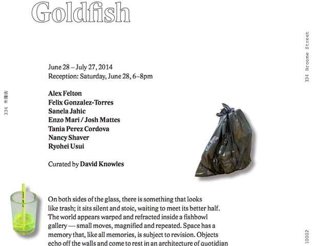 poster for “Goldfish” Exhibition