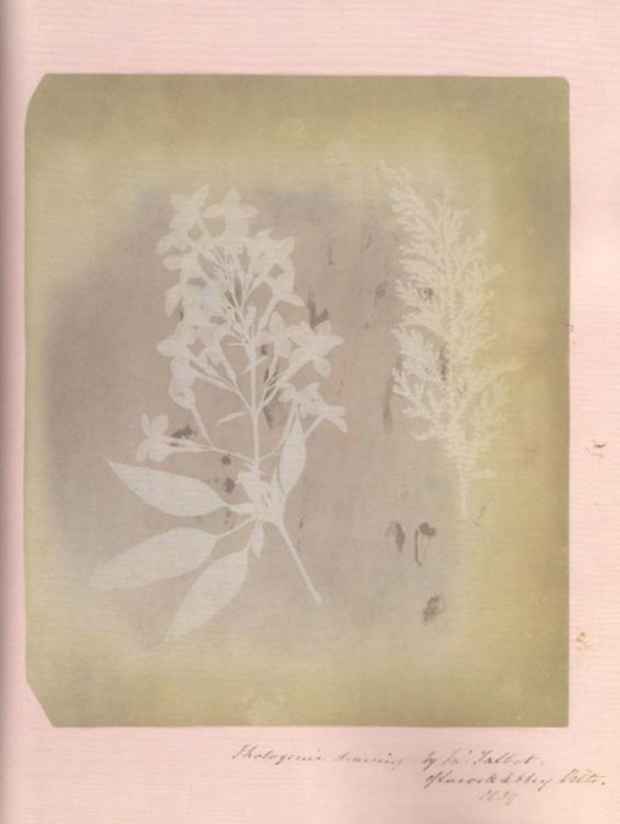 poster for William Henry Fox Talbot “An Anniversary Selection”