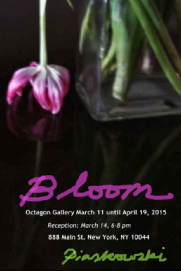 poster for Piaskowski “Bloom” 