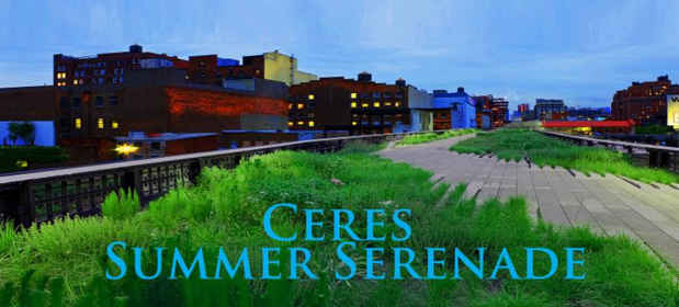 poster for “Summer Serenade” Exhibition