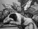 poster for Francisco de Goya y Lucientes “Los Caprichos”