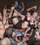 poster for Dan Witz “Mosh Pits, Raves and One Small Orgy”