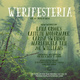 poster for “Werifesteria” Exhibition