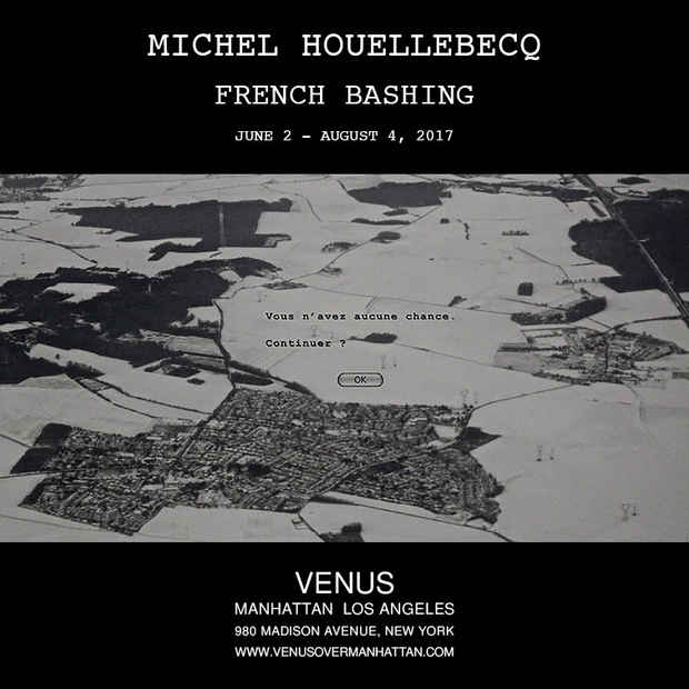 poster for Michel Houellebecq “French Bashing”