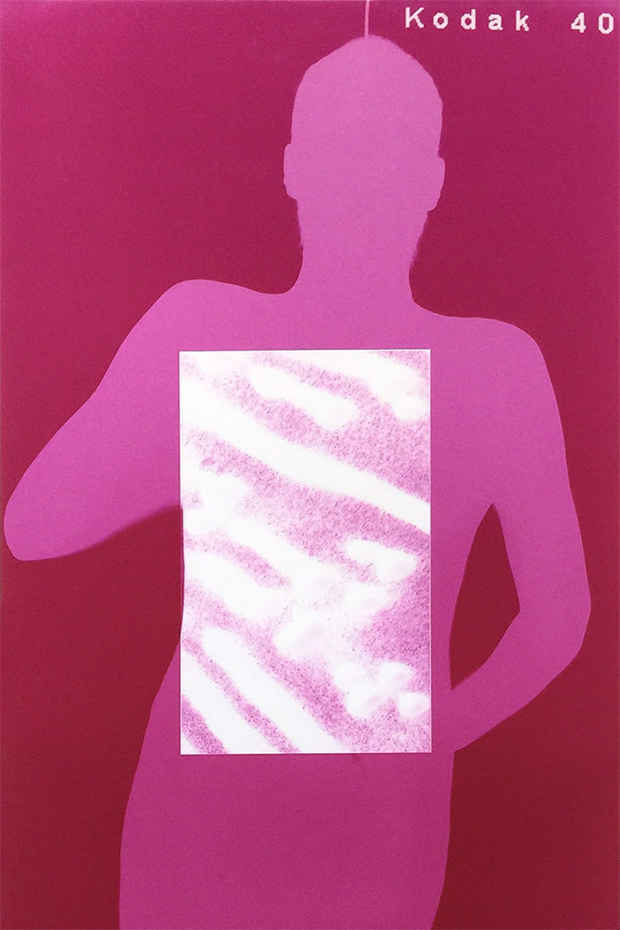 poster for David Benjamin “Sherry Pink Genesis”