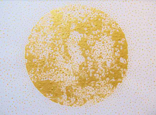 poster for Katsura Okada “Shining Flecks II: Forms of Group, Flock and Swarm”