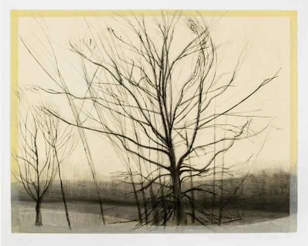 poster for Sylvia Plimack Mangold ” Winter Trees”