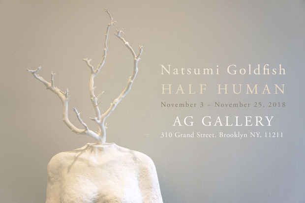 poster for Natsumi Goldfish “Half Human”