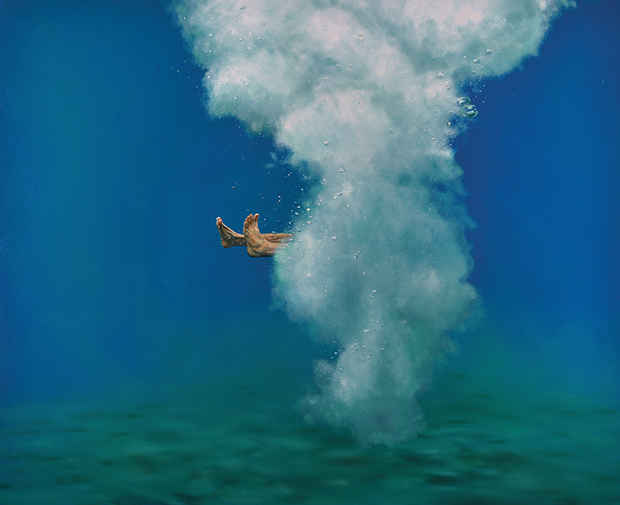 poster for Eric Zener “Taking the Plunge” 