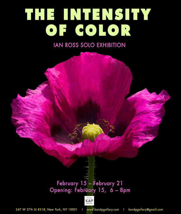 poster for Ian Ross “the intensity of color” 