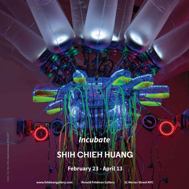 poster for Shih Chieh Huang “Incubate”