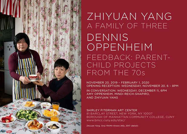 poster for Zhiyuan Yang “A Family of Three” and Dennis Oppenheim “Feedback: Parent-Child Projects from the 70s”