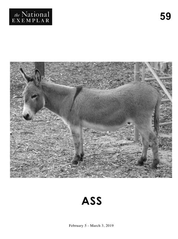 poster for “ASS” Exhibition