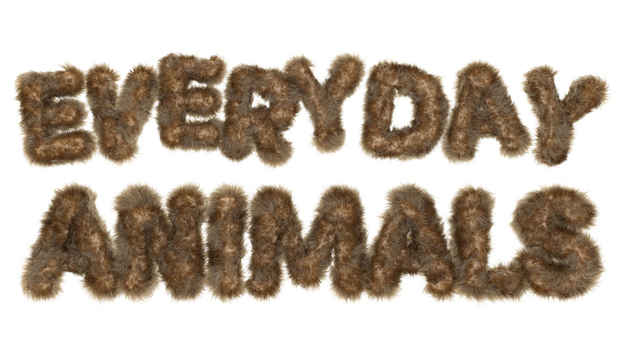 poster for “Everyday Animals” Exhibition