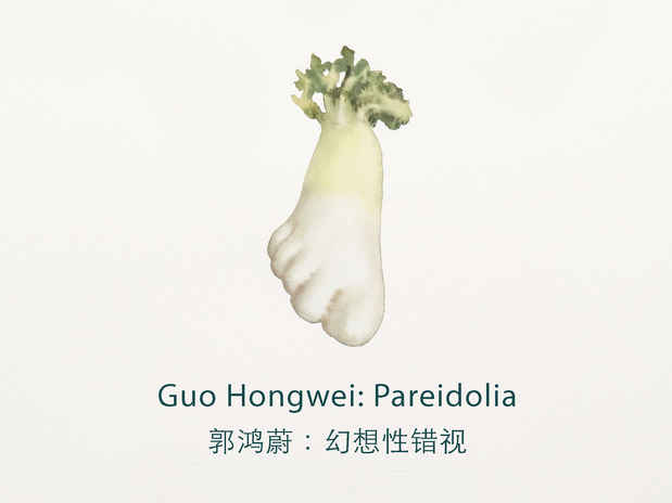 poster for Guo Hongwei “Pareidolia”