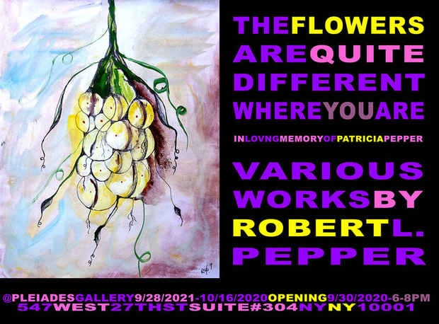 poster for Robert L. Pepper “The Flowers Are Quite Different Where You Are”