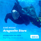 poster for Suné Woods “Aragonite Stars”