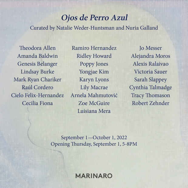 poster for “Ojos de Perro Azul” Exhibition