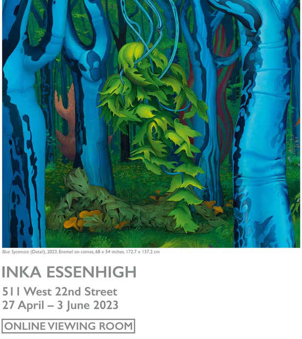 poster for Inka Essenhigh