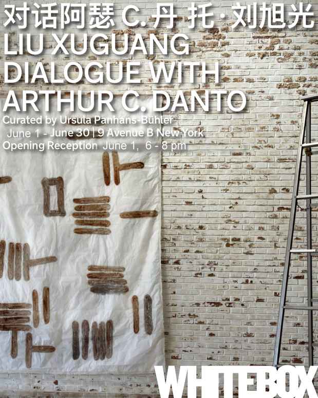 poster for “Liu Xuguang, Dialogue with Arthur C. Danto” Exhibition