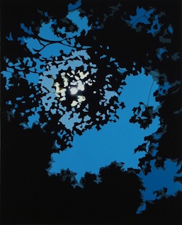 Richard Pasquarelli 'Night Sky' (2014) Oil on linen 30 x 24 in. Courtesy: Salomon Contemporary, New York