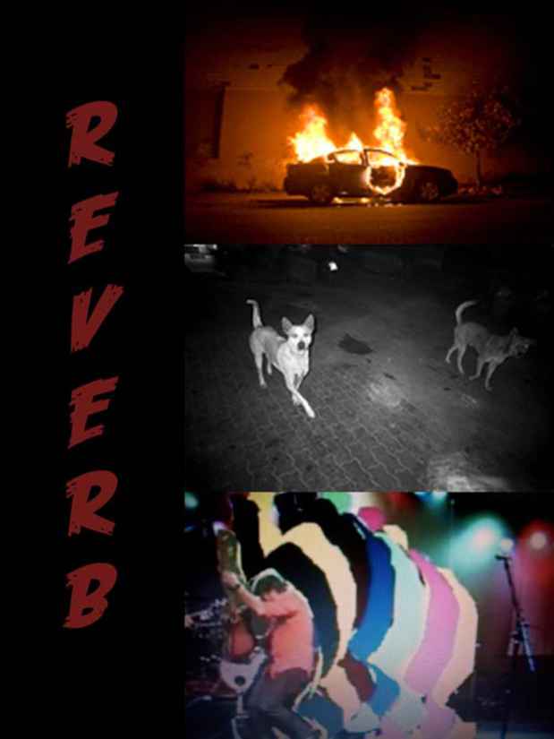 poster for "Reverb" Exhibition