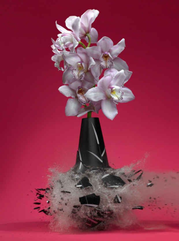 poster for Martin Klimas "Flowers"