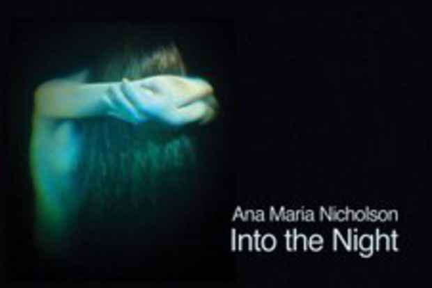 poster for "Into the Night" Exhibition