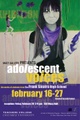 poster for "Adolescent Voices: The work of students from the Frank Sinatra High School" Exhibition