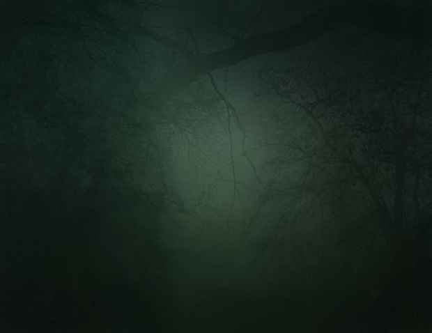 poster for Nicholas Hughes "In Darkness Visible"