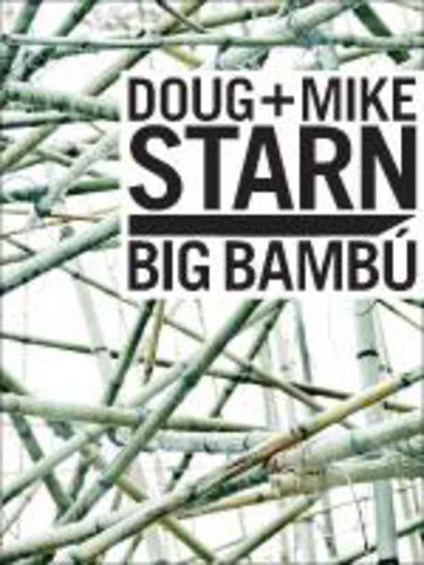 poster for Doug and Mike Starn "Big Bambú"