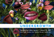 poster for "Undergrowth" Exhibition