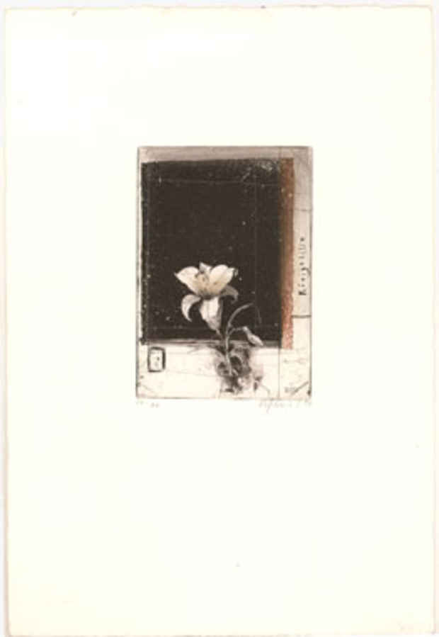 poster for "Still Life" Exhibition