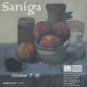 poster for EM Saniga "Paintings"