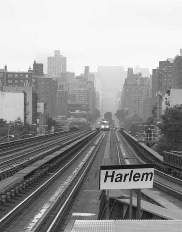 poster for Ellen Fisch "Harlem"