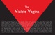 poster for "The Visible Vagina" Panel Discussion