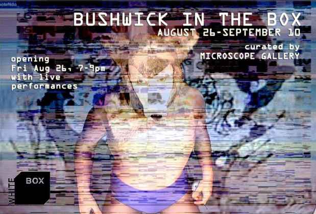 poster for "Bushwick in the Box" Exhibition