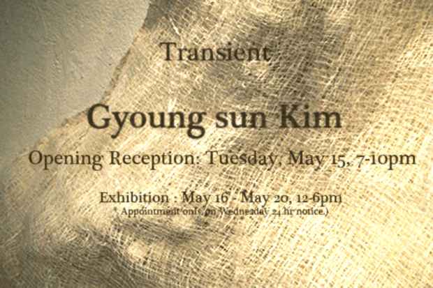 poster for Gyoung sun Kim "Transient"