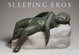poster for "Sleeping Eros" Exhibition