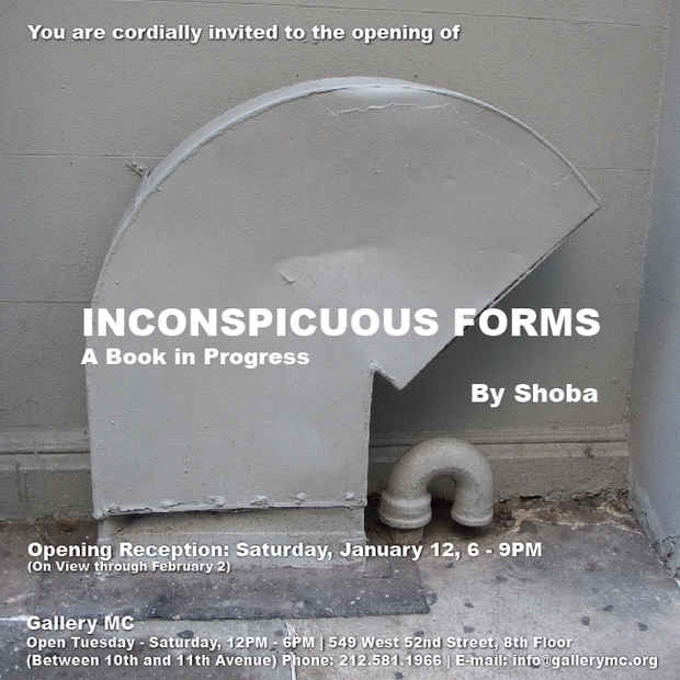 poster for Shoba "Inconspicuous Forms: A Book in Progress" 