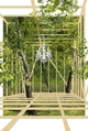 poster for Toshihiro Oki architect “tree wood”