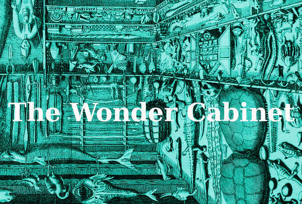 poster for "The Wonder Cabinet" Exhibition