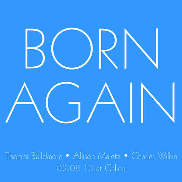 poster for Thomas Buildmore, Allison Maletz, and Charles Wilkin "Born Again"