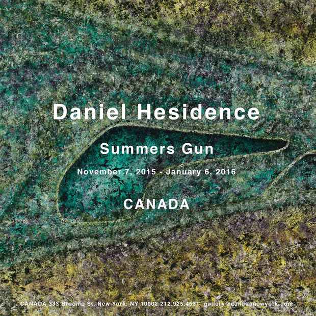 poster for Daniel Hesidence “Summers Gun”