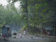 poster for Gregory Crewdson “Cathedral of the Pines”